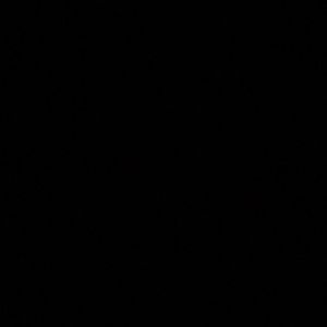 Meet your Posher, Jackson